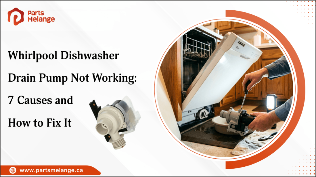 Whirlpool Dishwasher Drain Pump Not Working: 7 Causes and How to Fix It