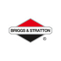 Briggs & Stratton